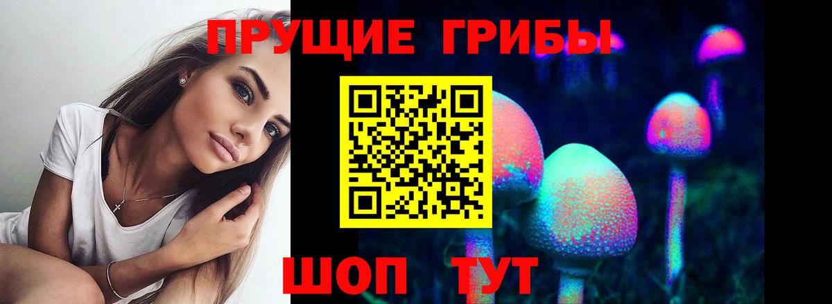 Саянск  Галлюциногенные грибы Cubensis  Вход с VPN 